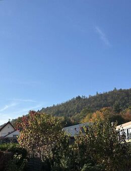 Großes Einfamilienhaus in Frankweiler - sanierungsbedürftig - genehmigtes Ausbaupotential - Frankweiler