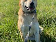 ein friedliebender Monty - Augsburg