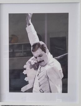 " Achtung QUEEN " Neu Freddy Mercury gerahmt - Wedel