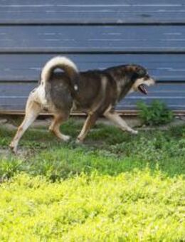 BARD - es gibt eben auch Zurückhaltung - Overath