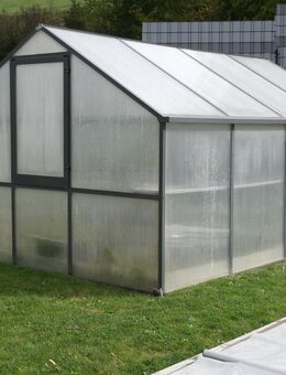 Gewächshaus KGT Tulpe IV - anthrazit-grau - Blumberg