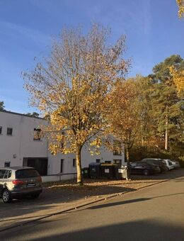 Modernes Wohnen am Teutoburger Wald - Bielefeld