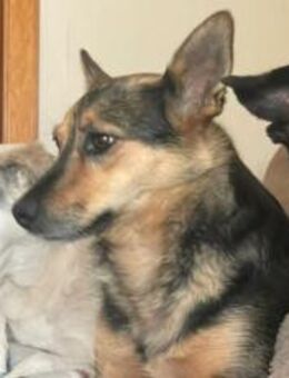 Schenkst du Eva dein Herz? - München