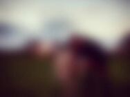 Pet*** - Selsingen