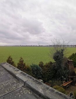 Doppelhaushälfte in Salzgitter-Thiede - Salzgitter