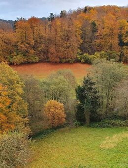 Attraktive lichtdurchflutete Maisonette-Wohnung - Bad Herrenalb