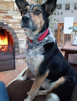 Manolo wartet in München! - Nürnberg