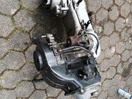 Motor Benzhou 125er 4 Takt mit 8242 Kilometerstand - Troisdorf