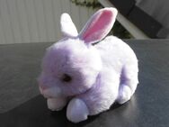 Ty Beanie Babies Hase Ryley Stofftier Kuscheltier Plüschtier 3,- - Flensburg