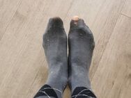 Suche extrem stinkende Reitsocken einer Reiterin - Köln