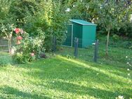 Charmante 2 Zimmer-Wohnung mit Süd-Terrasse, Garten und Stellplatz! - Göppingen