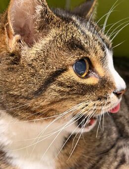 Bärbel - Schwielowsee