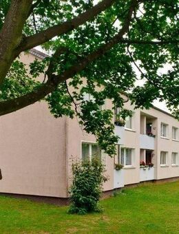 Senioren gesucht für charmante Wohnung in EG! - Osnabrück