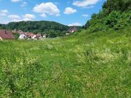 Naturnahes Grundstück für Ihren Traum vom Eigenheim - Simmelsdorf