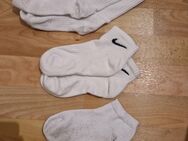 1 bis 3 Tage getragene Socken von W/20 - Berlin