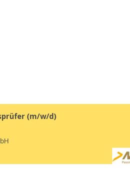 Wirtschaftsprüfer (m/w/d) - Berlin