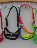 Lama ALpaka Halfter in 35315