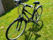 Damenfahrrad - Erwitte