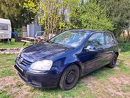 5er Golf - Müncheberg