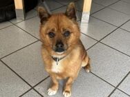 Wer hat Liebe übrig für JayJay? - München