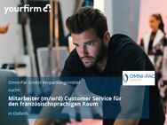 Mitarbeiter (m/w/d) Customer Service für den französischsprachigen Raum - Elsfleth