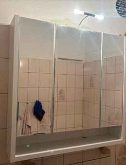 Alibert / Soiegelschrank - Hamburg Harburg