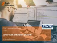 Senior Web-Entwickler (m/w/d) - Wermelskirchen