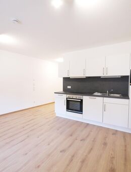 KFW40/Neuwertige 1-Zimmer-Apartment mit EBK u. hochwertiger Ausstattung in Zentrumslage - Dietfurt (Altmühl)
