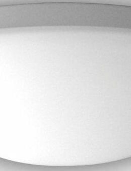 niermann Deckenleuchte Nurglasleuchte Opal matt, LED, LED wechselbar, Warmweiß