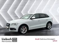 Audi SQ5, TDI, Jahr 2017 - Lübben (Spreewald)