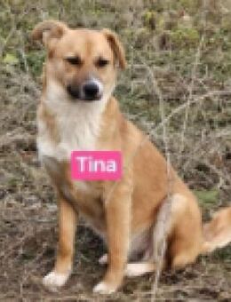 Tina und Bibi - ihre traurige Geschichte - Berlin