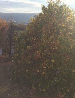 Sonnige 3-Zimmer-Wohnung mit tollem Blick! - Aalen
