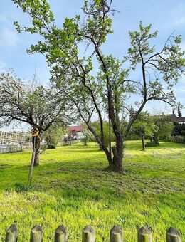 Eine Freude für die junge Familie: "Wohnen mit herrlichem Sonnengarten" Moderne DHH in Ostelsheim - Ostelsheim