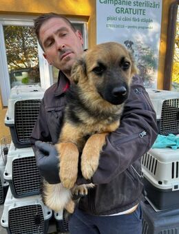 Lea bereit für ihr Für-Immer-Zuhause - Schlitz