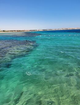 56er Mann sucht eine nette Frau für eine Beziehung // Freundschaft - Wolfsburg