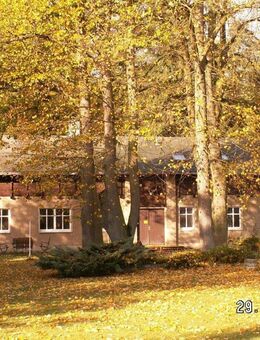 Forsthaus Metzelthin - wohnen und arbeiten im Naturpark Uckermärkische Seen - Templin