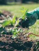 Gartenarbeit in 86152