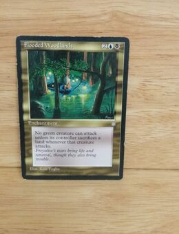 Magic The Gathering-Flooded Woodlands - Nörvenich