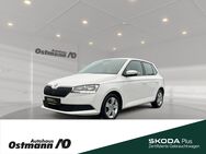 Skoda Fabia, Cool Plus, Jahr 2021 - Niestetal