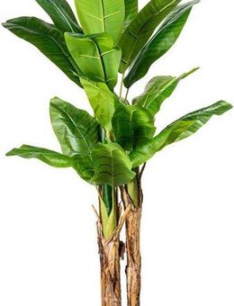 Kunstpalme Bananenpflanze Bananenpflanze, Creativ green, Höhe 150 cm