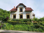 frisch renovierte 4-Raum-Wohnung am Waldrand von Blankenburg (Harz) - Blankenburg (Harz)