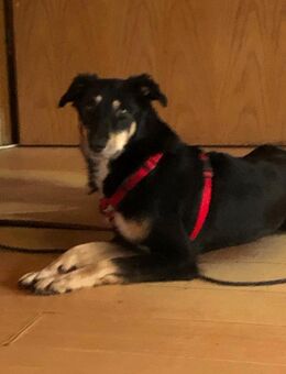 Die wunderschöne fee - Wassenberg