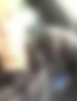 Dan*** - Brandenburg (Havel)