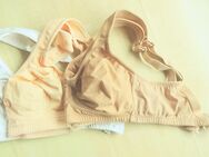 BH´s von Anita / Marke: Rosa Faia - in Größe 80 D ab 15,- € - Flintsbach (Inn)