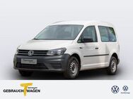 VW Caddy Kasten TDI FLÜGELTÜREN TRENNWAND - Bochum