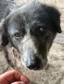 Tilda Für immer statt vergessen - Chemnitz