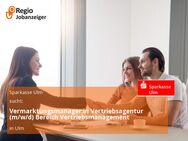 Vermarktungsmanager:in Vertriebsagentur (m/w/d) Bereich Vertriebsmanagement - Ulm