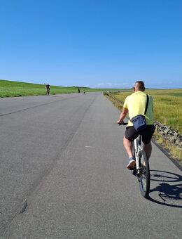 Freundschaft gesucht - Merseburg