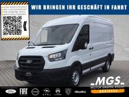 Ford Transit, FT 310 L2H2 ##Beifahrer-Airbag, Jahr 2024 - Bayreuth