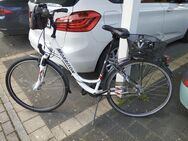 Damenfahrrad 8 Gänge Rahmenhöhe L (46 cm) - Halle (Westfalen)